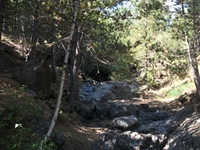 rrente Quarantore-20110911 018